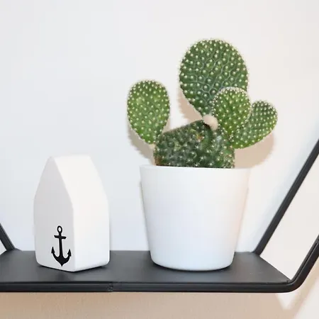 Ferienhaus Auszeit Am - Ostseenah&sonnenterrasse *