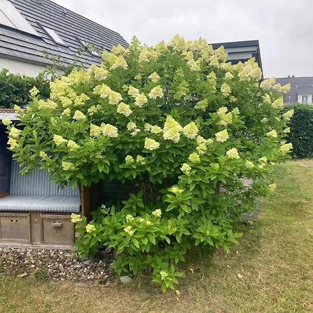 Holiday home Auszeit Am - Ostseenah & Sonnenterrasse - 2 Baeder Zierow